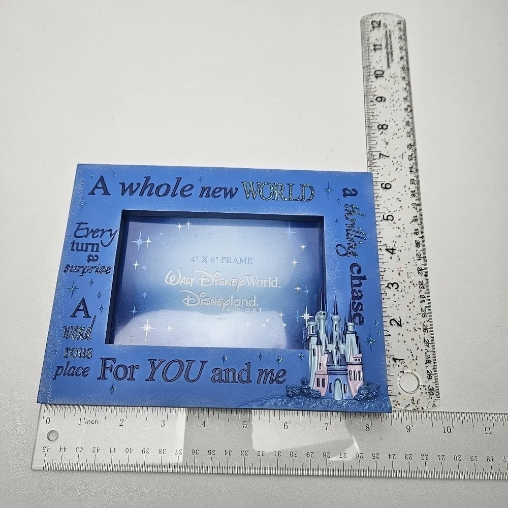 Disney Parks picture frame Aladdin